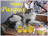 Scritte auguri Pasqua